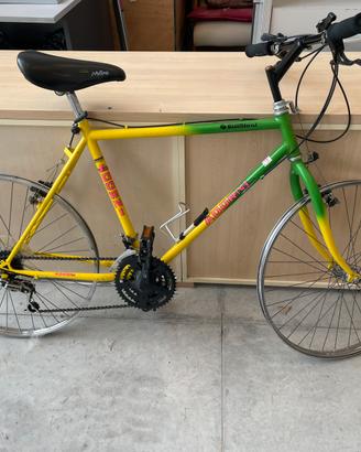 Mountain Bike ADORNI  26 18 rapporti
