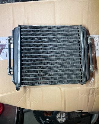 Radiatore beta ark