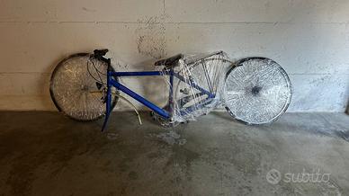 Bici maschile