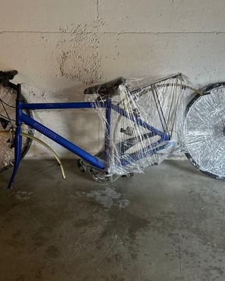 Bici maschile