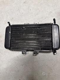 Radiatore scooter