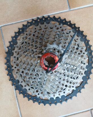Pacco Pignoni MTB Bolany 10V (11-50T)