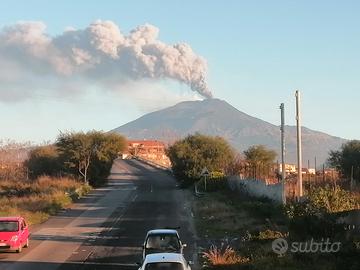 Terreno agricolo