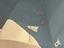 Immagine 14