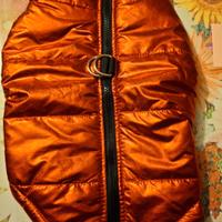 cappottino impermeabile cane rosso lucido tg 40