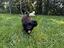 Immagine 4