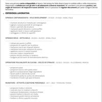 Operai livello 2