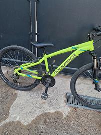 montanbike