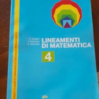 lineamenti di matematica vol 4
