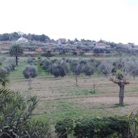 Terreno Edificabile - Niscemi