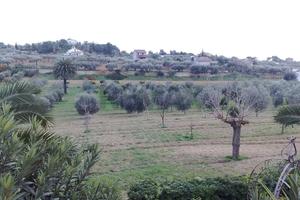 Terreno Edificabile - Niscemi