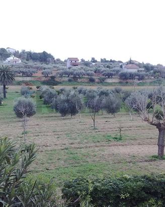 Terreno Edificabile - Niscemi