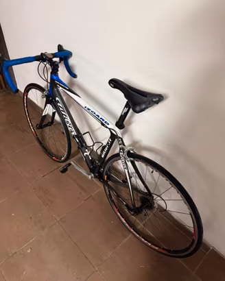 Wilier Triestina izoard, carbonio, Campagnolo, M