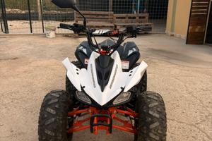 quad predator kayo 125 prezzo trattabile