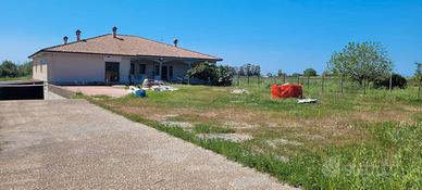 Villa 900 mq con 1 ettaro di terreno