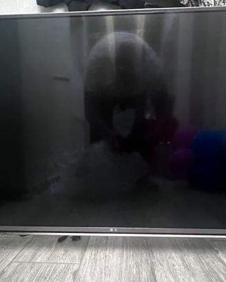 TV LG 49 pollici