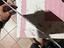 Immagine 3