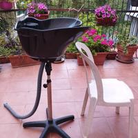 Lavatesta portatile professionale 