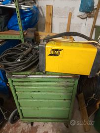 Salvatrice professionale 