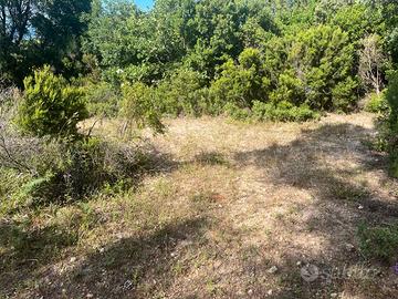 Terreno agricolo 1000 mq