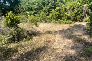 Terreno agricolo 1000 mq