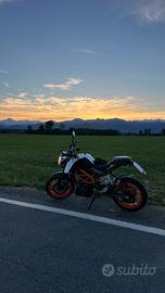 Duke 390