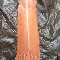 coppo in terracotta decorativo