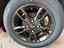 Immagine 11