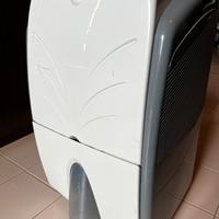 Deumidificatore DeLonghi DE210