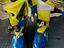 Immagine 1