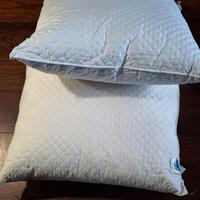 Due cuscini grandi memory foam mai usati