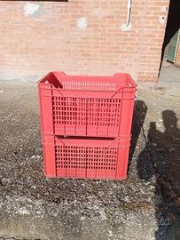 cassette x raccolta uva,mele,pere ecc.