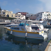 Pilotina Bimotore Diesel