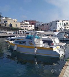 Pilotina Bimotore Diesel