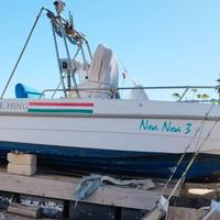 Motoscafo Fisching 21, 150cv Evinrude