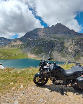 Suzuki V Strom DL 650 2009