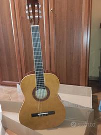 Chitarra Eko