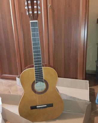Chitarra Eko