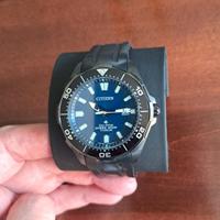 Citizen Promaster Ecodrive BN0205-10L