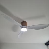 Ventilatore a soffitto