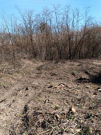 Vendita terreno agricolo