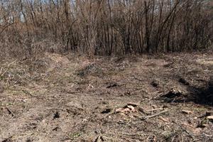 Vendita terreno agricolo