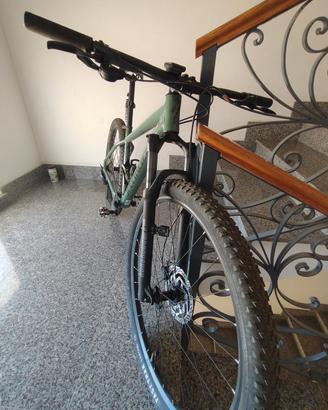 Mountain Bike Specialized