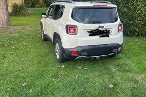 Renegade 1600 diesel