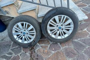 Cerci in lega Grande Punto