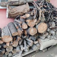 Tronchi da albero da frutto, ciliegio ecc