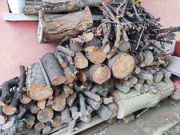Tronchi da albero da frutto, ciliegio ecc