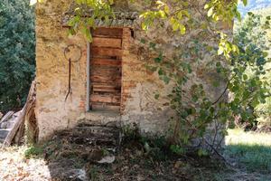 Terreno agricolo-frutteto con piccolo casaletto