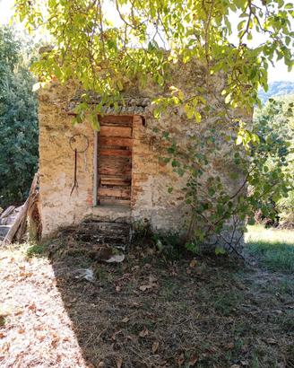 Terreno agricolo-frutteto con piccolo casaletto