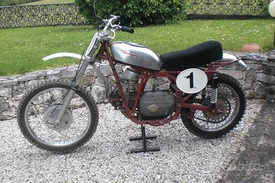 Aermacchi ala d'oro 250  telaio Muller
